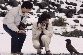 (3)Japan's crown prince, princess tour N.Z. nat'l park